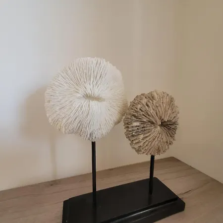 Le Lindos T2 Proche Plages *